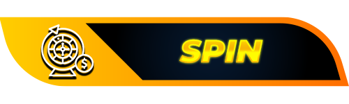 SPIN